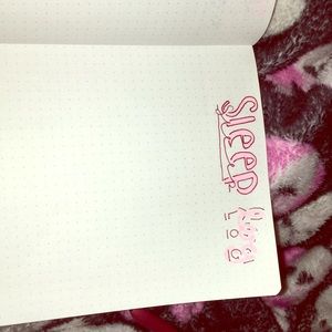 A page in my bullet journal